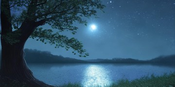 那个夜我好孤独究竟是哪首歌？