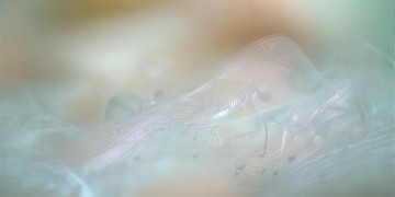 最后一句我爱你到底是哪首歌？