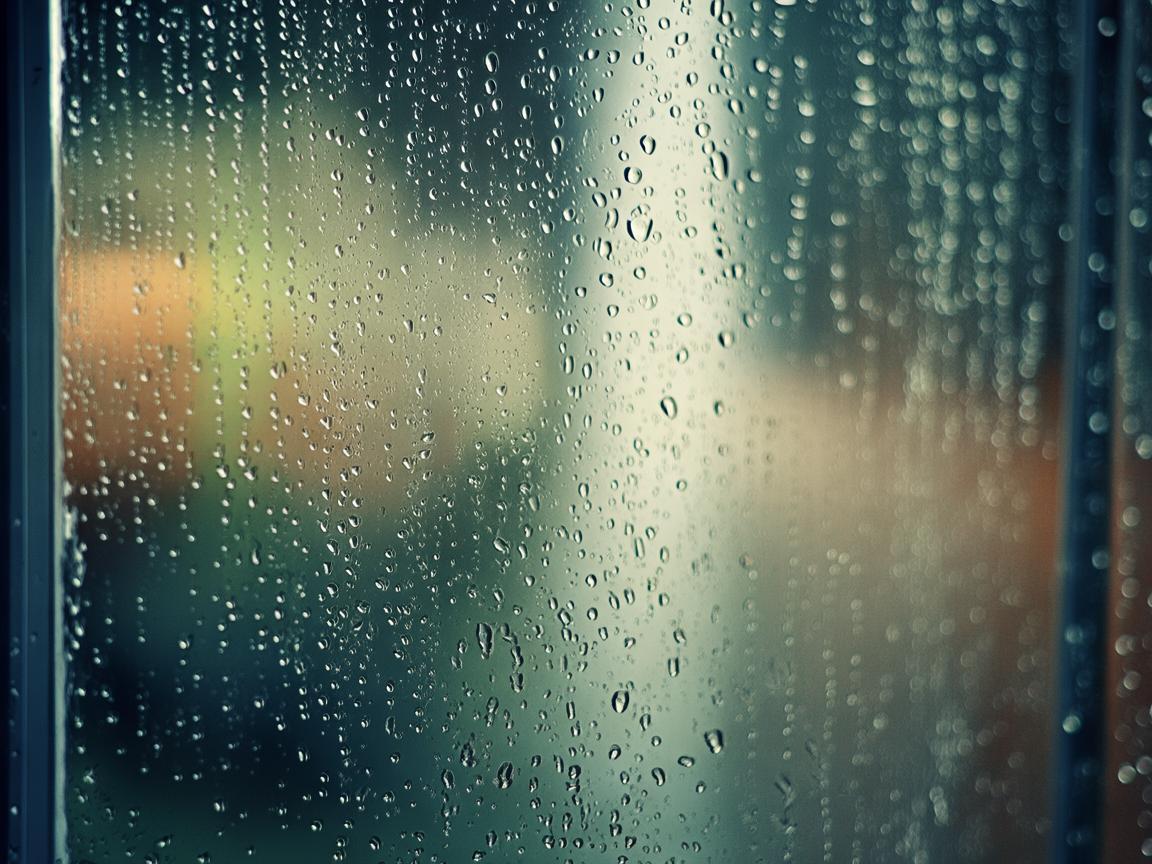 你看看窗外雨呀究竟是哪首歌？